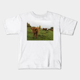 Scottish Highland Cattle Cow and Calf 1567 Kids T-Shirt